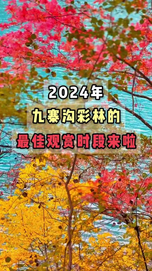 世界新闻 第140页