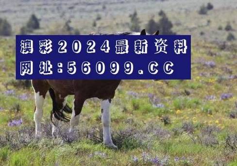 正版澳门2023资料,最佳精选数据资料_手机版24.02.60