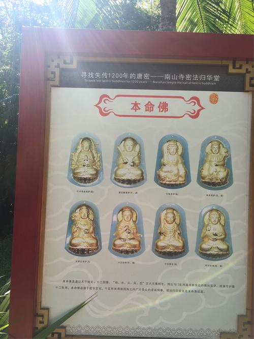 澳门马开奖结果+开奖结果生肖表和游客三亚被蛇咬身亡与三亚被蛇咬了